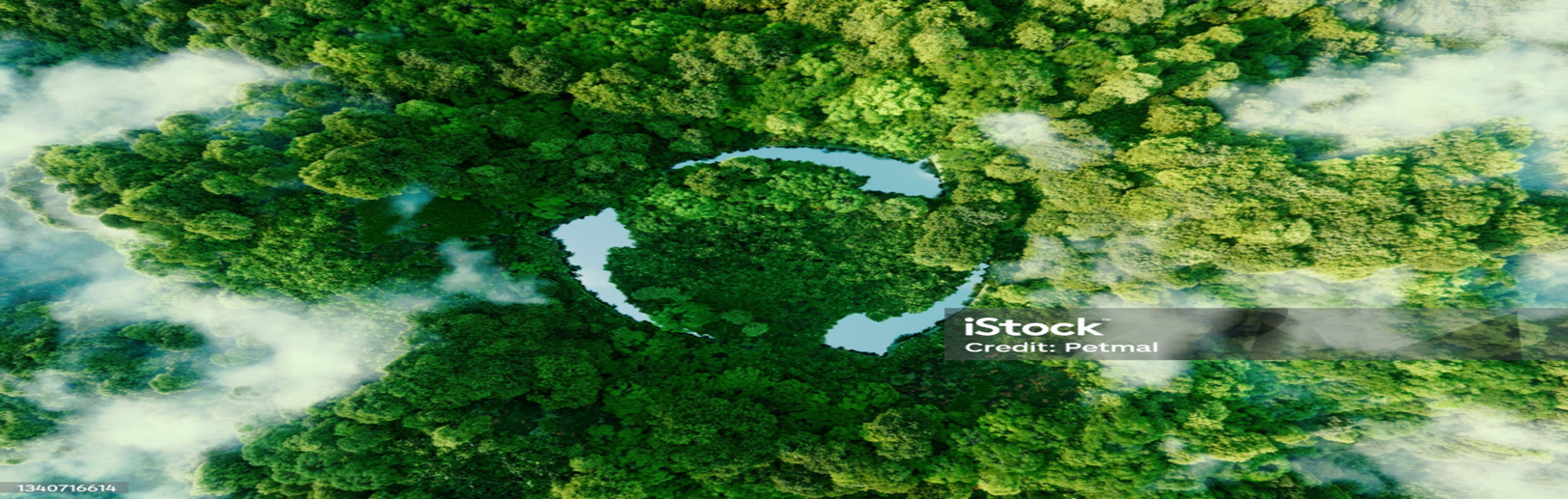 Shin-Etsu Silicones and Car Electronics