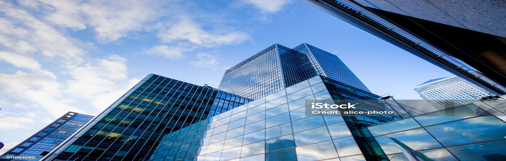 Shin-Etsu Silicones and Car Electronics